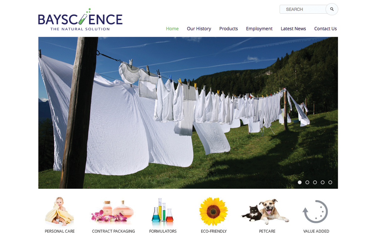 bayscience home page website design gallery
