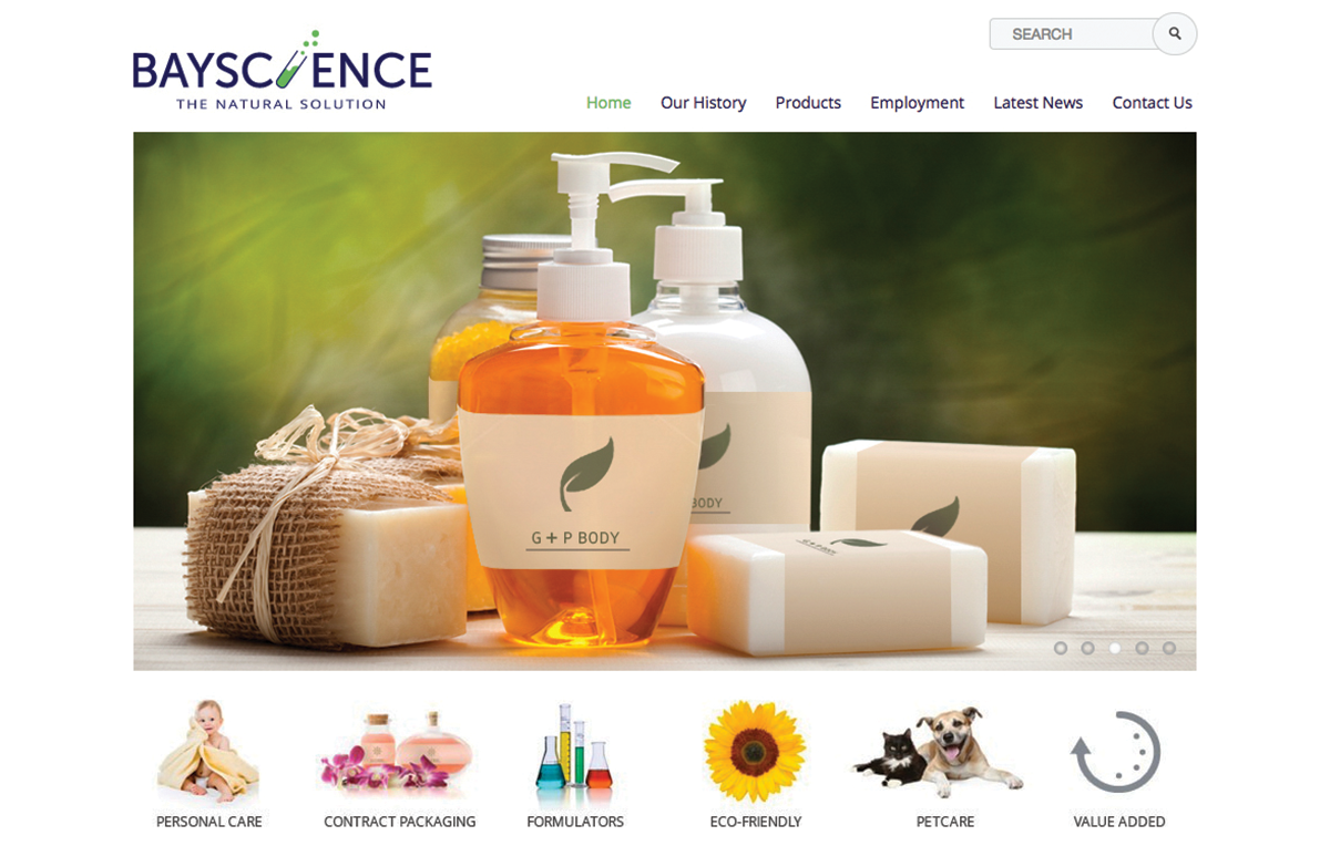 bayscience website design home page gallery