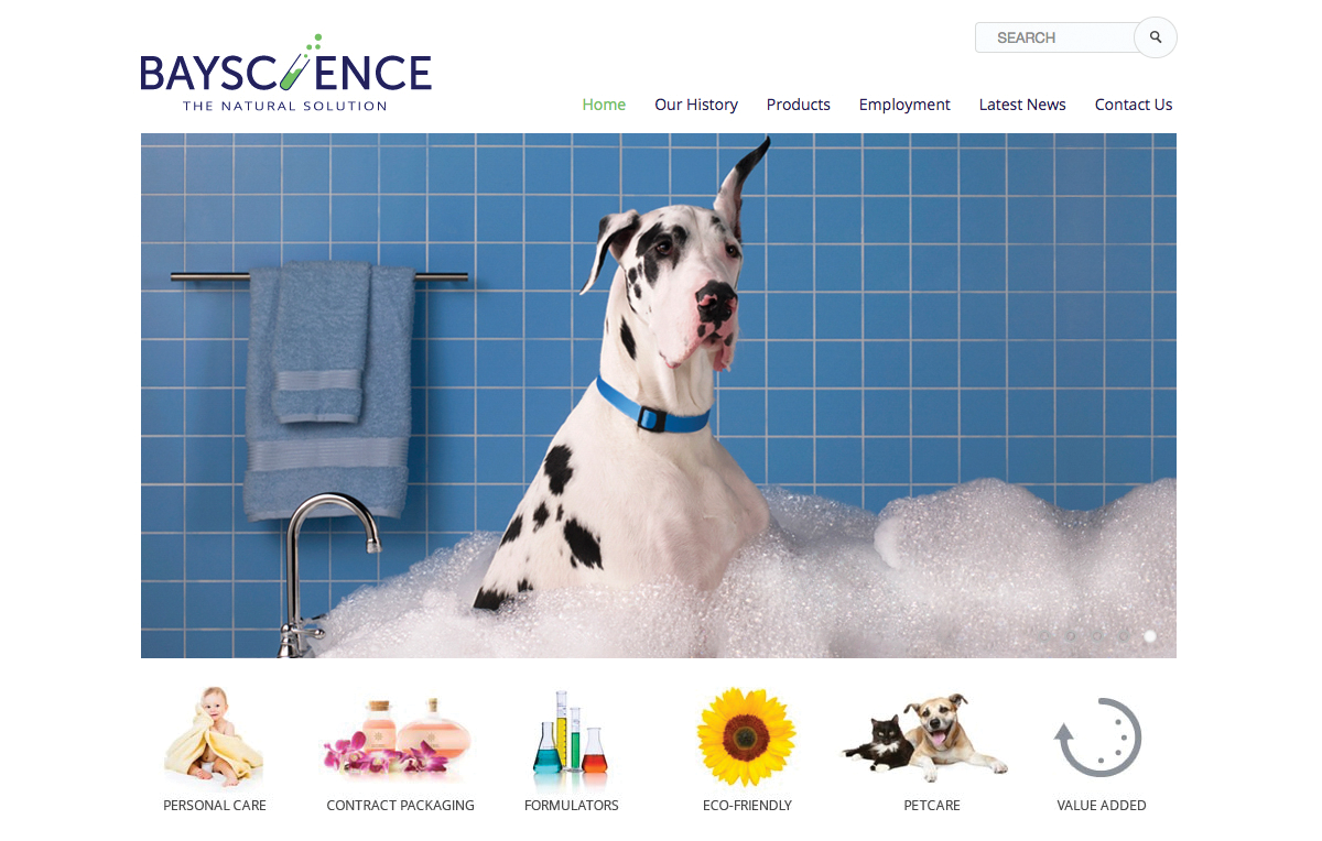 bayscience home page website design